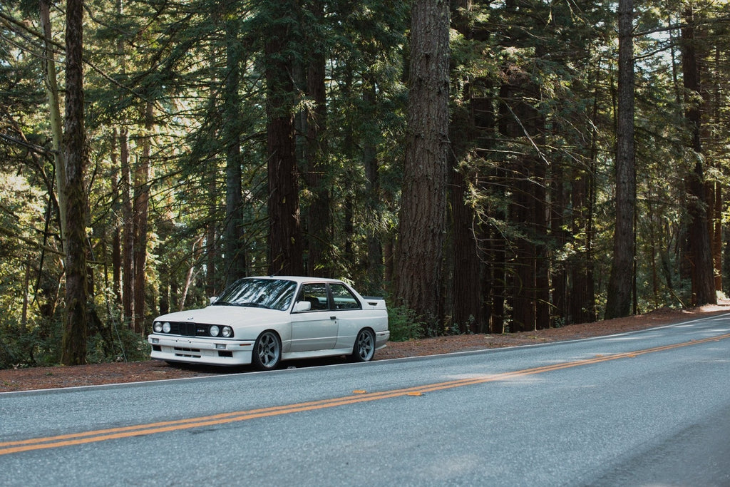 E30 M3 in the woods! Equipped with Rays Volk Racing TE37 #systemspec
