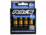 Rays Hi-Speed Air Control Valve Set