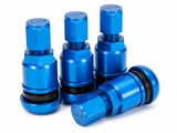 Rays Hi-Speed Air Control Valve Set