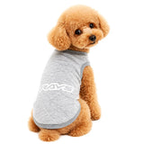 Rays Official - Pet Wear